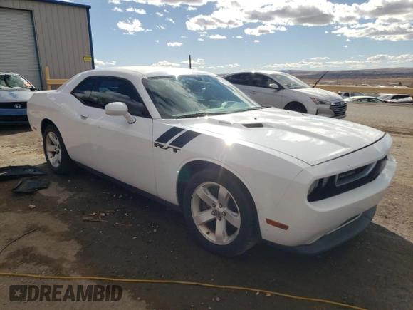 2013 Dodge Challenger R/T with VIN 2C3CDYBT3DH535790, listed as a Copart auction lot 48529355 with 250,497 mi miles and Salvage Title. Bid and sale history available at carsss.com. Image 4.