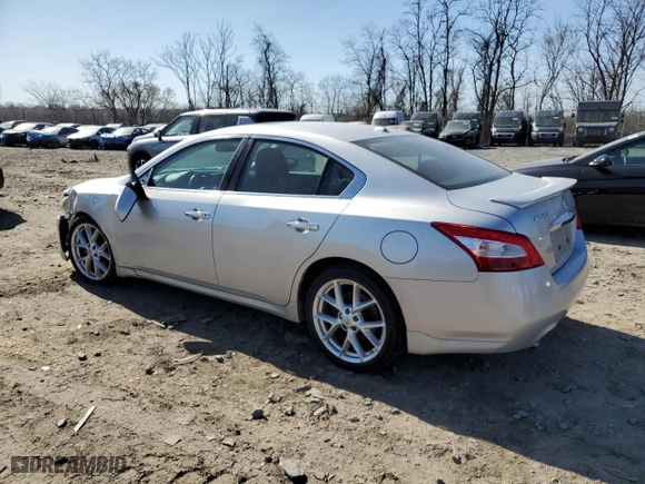 2009 Nissan Maxima 3.5 SV w/Sport Pkg with VIN 1N4AA51E89C843342, listed as a Copart auction lot 49652505 with 166,132 mi miles and Salvage Title. Bid and sale history available at carsss.com. Image 2.