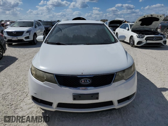 2010 Kia Forte EX with VIN KNAFU4A22A5184977, listed as a Copart auction lot 77189024 with Not Provided miles and Clean Title. Bid and sale history available at carsss.com. Image 5.
