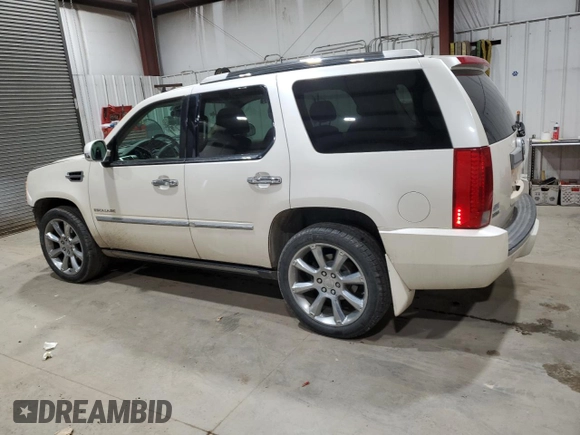 2010 Cadillac Escalade Premium with VIN 1GYUKCEF2AR146420, listed as a Copart auction lot 48102685 with 121,229 mi miles and Clean title. Bid and sale history available at DreamBid. Image 2.