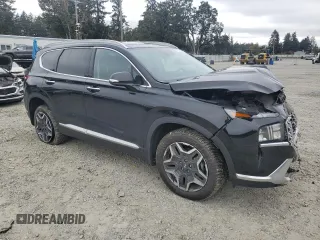2022 Hyundai Santa Fe Hybrid SEL Premium with VIN KM8S3DA11NU029629, listed as a Copart auction lot 75606294 with 44,110 mi miles and Salvage Title. Bid and sale history available at carsss.com. Image 4.