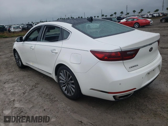 2017 Kia Cadenza Premium with VIN KNALC4J19H5073768, listed as a Copart auction lot 75085444 with 0 mi miles and Salvage Title. Bid and sale history available at carsss.com. Image 2.