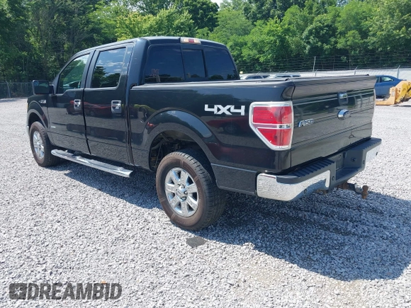 2013 Ford F-150 XL with VIN 1FTFW1ET6DKG21755, listed as a IAAI auction lot 42361049 with 264,756 mi miles and . Bid and sale history available at DreamBid. Image 3.