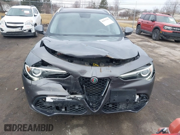 2019 Alfa Romeo Stelvio z VIN ZASPAKAN8K7C40495, wystawiony jako IAAI lot #41693705 z przebiegiem 36 415 mil mil oraz . Historia ofert i sprzedaży dostępna na DreamBid. Obrazek 12.