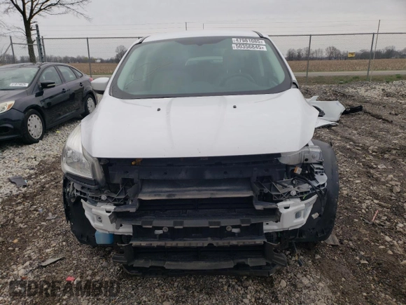 2014 Ford Escape SE with VIN 1FMCU0GX6EUA03906, listed as a Copart auction lot 50356845 with 101,852 mi miles and Salvage Title. Bid and sale history available at carsss.com. Image 5.