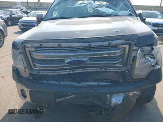 2014 Ford F-150 XL with VIN 1FTFW1EF4EFA78748, listed as a IAAI auction lot 42314201 with 176,674 mi miles and . Bid and sale history available at DreamBid. Image 12.