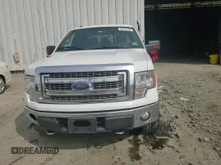 2013 Ford F-150 XL with VIN 1FTFW1EF9DKE66144, listed as a Copart auction lot 58134795 with 150,726 mi miles and Salvage title. Bid and sale history available at DreamBid. Image 13.