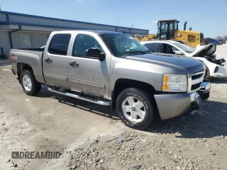 2009 Chevrolet Silverado 1500 LT with VIN 3GCEK23379G230726, listed as a Copart auction lot 50151605 with 203,726 mi miles and Salvage Title. Bid and sale history available at DreamBid. Image 4.