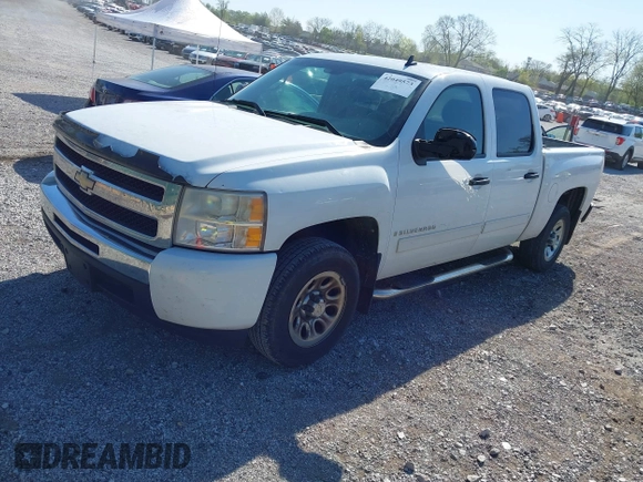 2009 Chevrolet Silverado 1500 LS with VIN 3GCEC13CX9G256034, listed as a IAAI auction lot 42049573 with 223,057 mi miles. Bid and sale history available at carsss.com. Image 17.