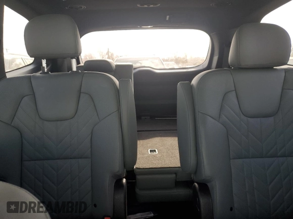 2023 Kia Telluride SX X-Line with VIN 5XYP5DGC9PG352361, listed as a Copart auction lot 78998534 with 49,441 mi miles and Salvage title. Bid and sale history available at DreamBid. Image 10.