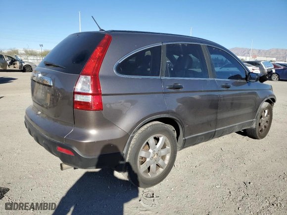 2009 Honda CR-V EX with VIN 5J6RE48509L045445, listed as a Copart auction lot 47201675 with 255,144 mi miles and Salvage Title. Bid and sale history available at carsss.com. Image 3.