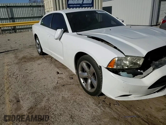 2014 Dodge Charger Police with VIN 2C3CDXAG8EH289481, listed as a Copart auction lot 86189534 with 179,755 mi miles and Salvage Title. Bid and sale history available at DreamBid. Image 11.