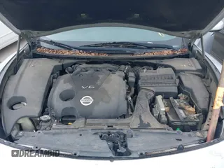 2013 Nissan Maxima SV with VIN 1N4AA5AP1DC841233, listed as a IAAI auction lot 41918995 with 176,003 mi miles and . Bid and sale history available at DreamBid. Image 10.