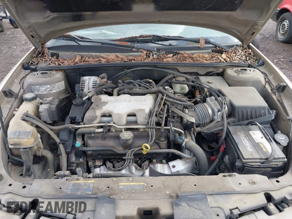 2004 Oldsmobile Alero GL1 with VIN 1G3NL52E64C165798, listed as a IAAI auction lot 41919005 with Not Provided miles and . Bid and sale history available at DreamBid. Image 10.