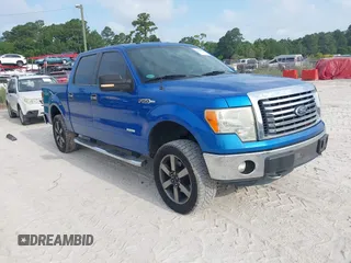2011 Ford F-150 XLT with VIN 1FTFW1ET3BFD20530, listed as a IAAI auction lot 42549159 with Not provided miles and . Bid and sale history available at DreamBid. Image 1.