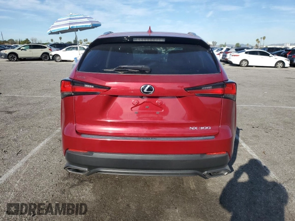 2020 Lexus NX 300 with VIN JTJAARBZXL5001159, listed as a Copart auction lot 50264585 with 49,024 mi miles and Salvage title. Bid and sale history available at DreamBid. Image 6.