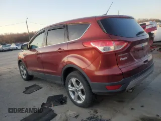 2014 Ford Escape SE with VIN 1FMCU9G94EUC19288, listed as a Copart auction lot 48514585 with 126,182 mi miles and Salvage Title. Bid and sale history available at carsss.com. Image 2.