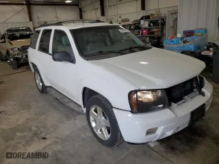 2008 Chevrolet TrailBlazer Fleet w/2FL with VIN 1GNDT13S582236890, listed as a Copart auction lot 52287625 with 189,260 mi miles and Non Repairable. Bid and sale history available at carsss.com. Image 4.
