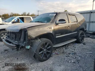 2010 Cadillac Escalade z VIN 1GYUKAEF8AR184514, wystawiony jako Copart lot #73656034 z przebiegiem 146 172 mil mil oraz Szkody całkowita. Historia ofert i sprzedaży dostępna na DreamBid. Obrazek 1.