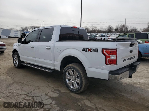 2020 Ford F-150 XL with VIN 1FTEW1EP1LKF36366, listed as a Copart auction lot 50186345 with 44,947 mi miles and Salvage Title. Bid and sale history available at DreamBid. Image 2.