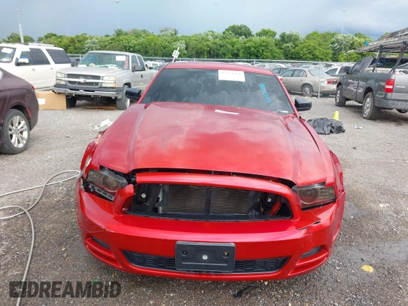 2013 Ford Mustang V6 with VIN 1ZVBP8AM9D5283332, listed as a IAAI auction lot 42471456 with 108,514 mi miles and . Bid and sale history available at DreamBid. Image 12.