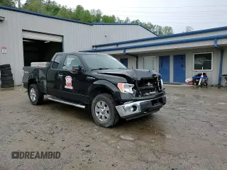 2014 Ford F-150 XL with VIN 1FTFX1EF5EFA61616, listed as a Copart auction lot 54660705 with Not provided miles and Salvage title. Bid and sale history available at DreamBid. Image 13.