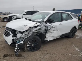 2019 Chevrolet Equinox LS with VIN 2GNAXSEV4K6255008, listed as a Copart auction lot 87061054 with Not Provided miles and Clean Title. Bid and sale history available at DreamBid. Image 1.