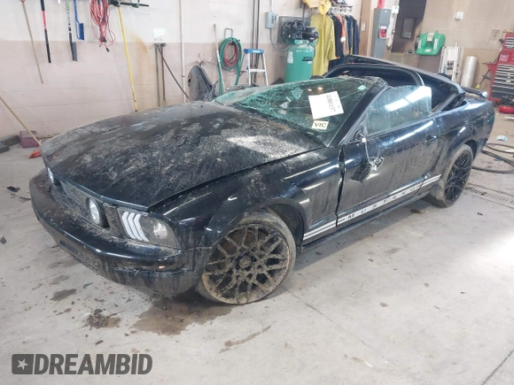 2005 Ford Mustang Deluxe with VIN 1ZVHT84N755243052, listed as a IAAI auction lot 41881137 with 109,366 mi miles and . Bid and sale history available at DreamBid. Image 17.