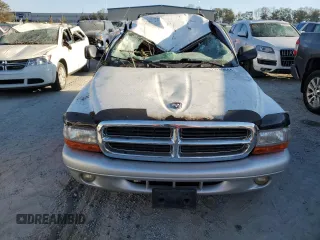 2002 Dodge Durango z VIN 1B4HR58N82F202541, wystawiony jako Copart lot #75289644 z przebiegiem Nie podano mil oraz Szkoda całkowita • Salvage title. Historia ofert i sprzedaży dostępna na DreamBid. Obrazek 5.