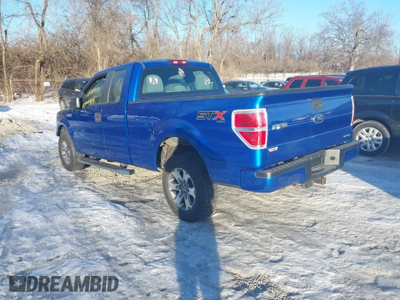 2014 Ford F-150 XL with VIN 1FTFX1EF0EFA27289, listed as a IAAI auction lot 41420909 with 123,045 mi miles. Bid and sale history available at carsss.com. Image 3.