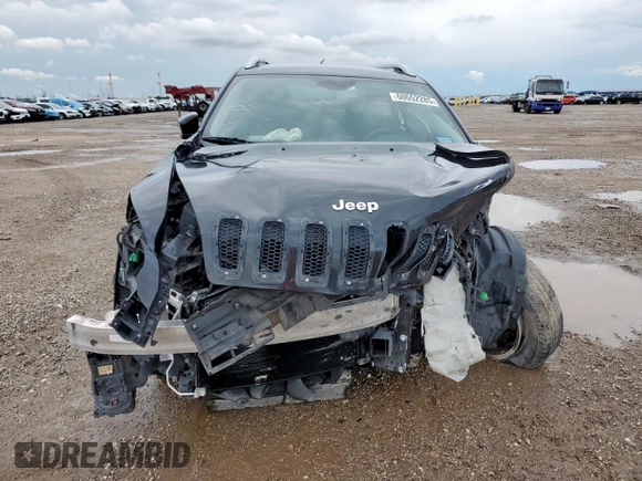 2016 Jeep Cherokee Latitude with VIN 1C4PJLCB2GW302486, listed as a Copart auction lot 60652285 with 113,875 mi miles and Salvage title. Bid and sale history available at DreamBid. Image 5.