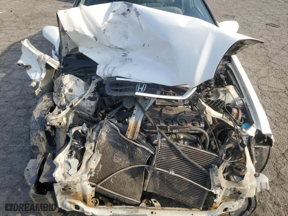 1998 Honda Civic EX with VIN 1HGEJ8145WL027660, listed as a Copart auction lot 41924045 with 190,169 mi miles and Salvage Title. Bid and sale history available at carsss.com. Image 11.