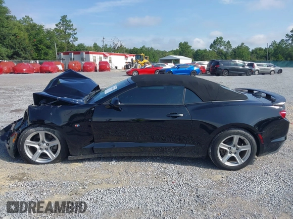 2019 Chevrolet Camaro 1LT with VIN 1G1FB3DS6K0134539, listed as a IAAI auction lot 42646844 with 55,275 mi miles and . Bid and sale history available at DreamBid. Image 14.