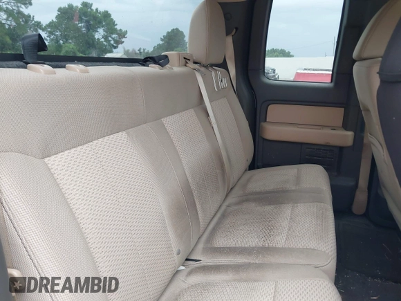 2011 Ford F-150 XL with VIN 1FTFX1CF4BFC30989, listed as a IAAI auction lot 42750518 with Not provided miles and . Bid and sale history available at DreamBid. Image 8.
