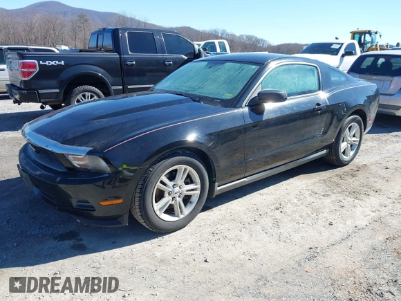 2011 Ford Mustang V6 with VIN 1ZVBP8AM2B5153163, listed as a IAAI auction lot 41645917 with 286,609 mi miles and . Bid and sale history available at carsss.com. Image 18.