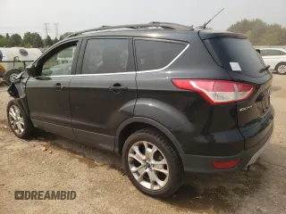 2013 Ford Escape SE with VIN 1FMCU0GXXDUA98419, listed as a Copart auction lot 59233695 with 151,615 mi miles and Salvage title. Bid and sale history available at DreamBid. Image 2.