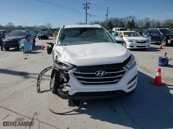 2017 Hyundai Tucson SE with VIN KM8J3CA48HU323534, listed as a Copart auction lot 49580295 with 44,507 mi miles and Salvage Title. Bid and sale history available at carsss.com. Image 11.