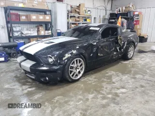 2009 Ford Mustang GT with VIN 1ZVHT82H595136732, listed as a Copart auction lot 42284425 with 231,099 mi miles and Salvage title. Bid and sale history available at DreamBid. Image 1.