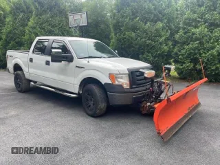 2010 Ford F-150 XL с VIN 1FTEW1E84AFD59603, выставлен на аукционе Copart как лот 66653855 с пробегом 139 109 миль миль и Чистый • Clean title. История ставок и продаж доступна на DreamBid. Изображение 1.