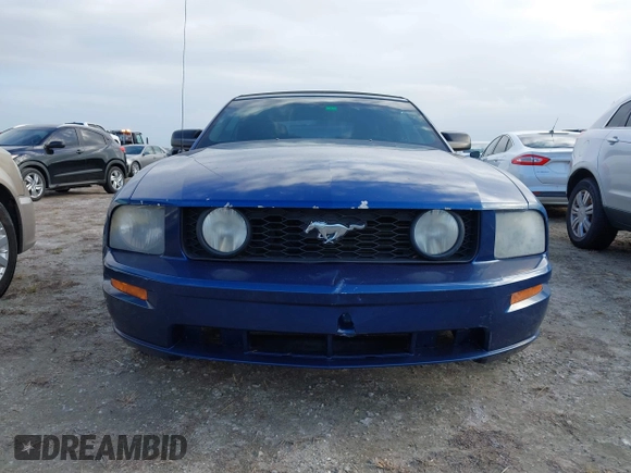 2007 Ford Mustang GT Deluxe with VIN 1ZVHT85H075325586, listed as a IAAI auction lot 40581160 with Not Provided miles and . Bid and sale history available at carsss.com. Image 12.