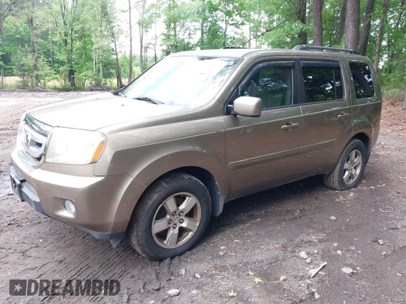 2009 Honda Pilot EX with VIN 5FNYF48409B041002, listed as a IAAI auction lot 42252034 with 116,938 mi miles and . Bid and sale history available at DreamBid. Image 2.