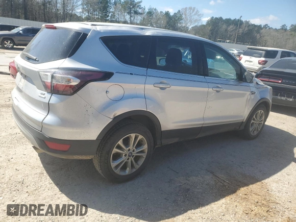 2017 Ford Escape SE with VIN 1FMCU0G9XHUB31328, listed as a Copart auction lot 48810195 with Not Provided miles and Salvage Title. Bid and sale history available at DreamBid. Image 3.