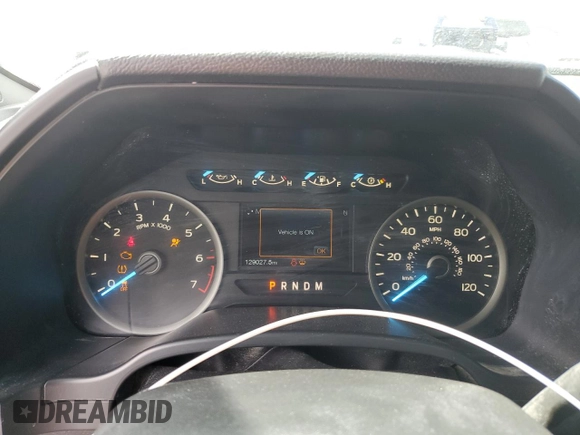 2019 Ford F-150 XL with VIN 1FTEW1C59KKC91946, listed as a Copart auction lot 49415025 with 129,027 mi miles and Clean Title. Bid and sale history available at carsss.com. Image 9.