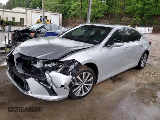 2019 Lexus ES with VIN 58ABZ1B15KU032632, listed as a Copart auction lot 50204075 with 122,766 mi miles and Clean Title. Bid and sale history available at carsss.com. Image 1.