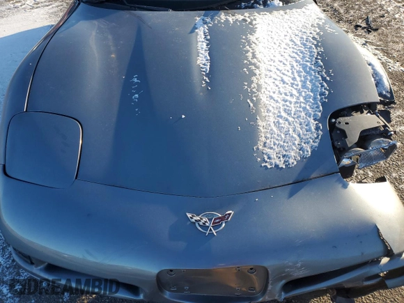 2003 Chevrolet Corvette with VIN 1G1YY22GX35126223, listed as a Copart auction lot 49199455 with 0 mi miles and Non Repairable. Bid and sale history available at carsss.com. Image 11.