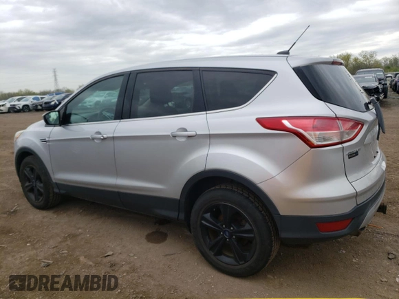 2014 Ford Escape SE with VIN 1FMCU9G90EUA52010, listed as a Copart auction lot 55410485 with 209,125 mi miles and Clean Title. Bid and sale history available at carsss.com. Image 2.