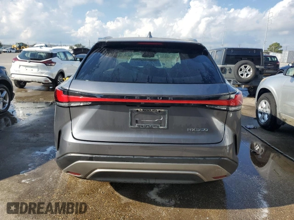 2023 Lexus RX with VIN 2T2BAMBAXPC003115, listed as a Copart auction lot 72773164 with 23,753 mi miles and Non Repairable. Bid and sale history available at carsss.com. Image 6.