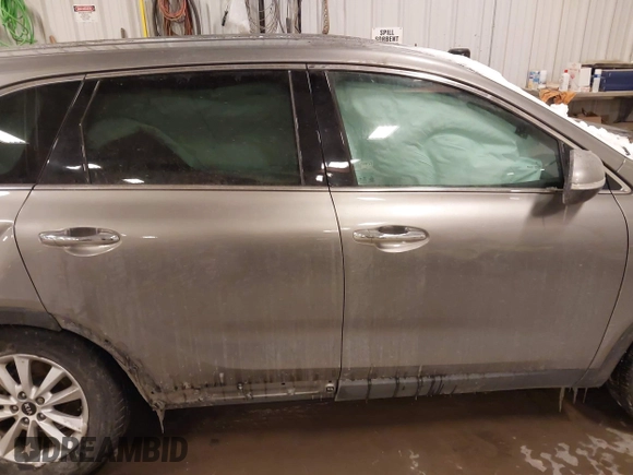 2019 Kia Sorento LX with VIN 5XYPG4A36KG498664, listed as a IAAI auction lot 41609272 with 172,042 mi miles. Bid and sale history available at carsss.com. Image 13.