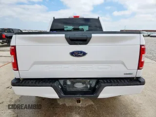 2019 Ford F-150 XL with VIN 1FTEW1CP6KKD96400, listed as a Copart auction lot 59563885 with 159,625 mi miles and Salvage title. Bid and sale history available at DreamBid. Image 6.