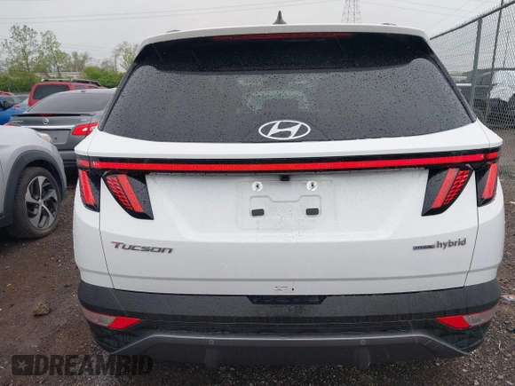 2024 Hyundai Tucson Limited with VIN KM8JECD18RU184602, listed as a IAAI auction lot 42128254 with 21,269 mi miles and . Bid and sale history available at carsss.com. Image 17.